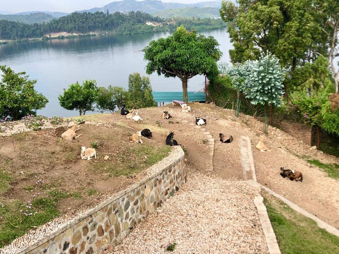 Amazi Land Home And Farm Stay Kibuye Buitenkant foto