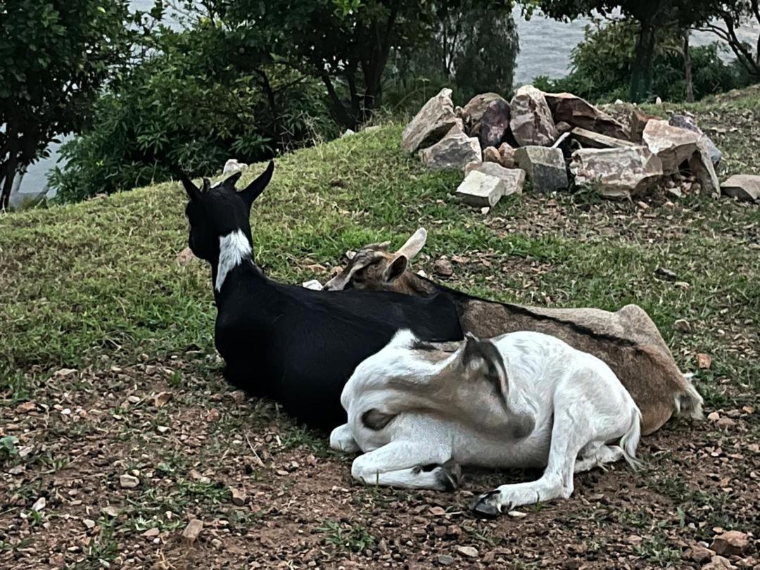 Amazi Land Home And Farm Stay Kibuye Buitenkant foto